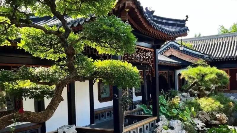 T1战队S16阵容怎么组成的，首发位置与轮换思路一次说清